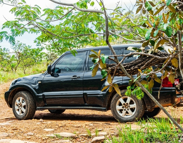 Passeio de 4x4 em Capitólio com 4 Opções de Roteiro