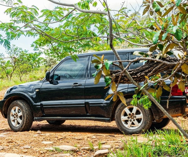 Passeio de 4x4 em Capitólio com 4 Opções de Roteiro